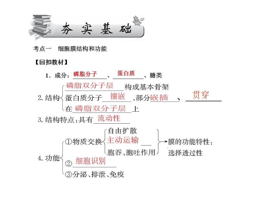 2017届高三新课标名师导学新高考生物一轮总复习课件：必修1 第四章 第八课 第2、3节 生物膜的流动镶嵌模型、物质跨膜运输的方式 .ppt_第3页