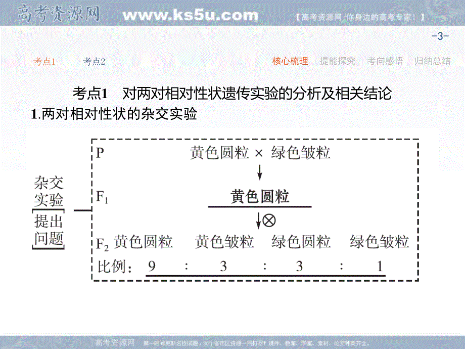 2018届高考化学第一轮总复习课件：5-2 孟德尔的豌豆杂交实验（二） .ppt_第3页