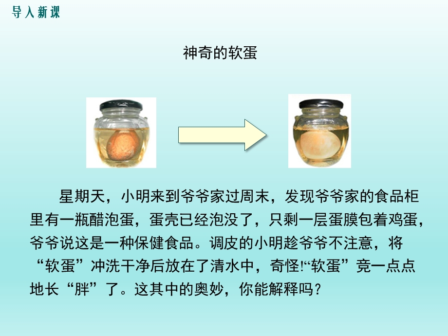 10.2分子动理论的初步知识课件（沪粤版八下物理）.ppt_第2页