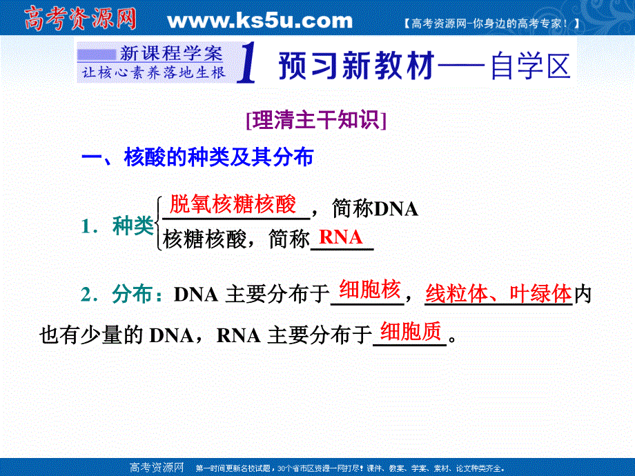 2020-2021学年人教版生物学必修1同步课件：第二章 第5节 核酸是遗传信息的携带者 .ppt_第2页