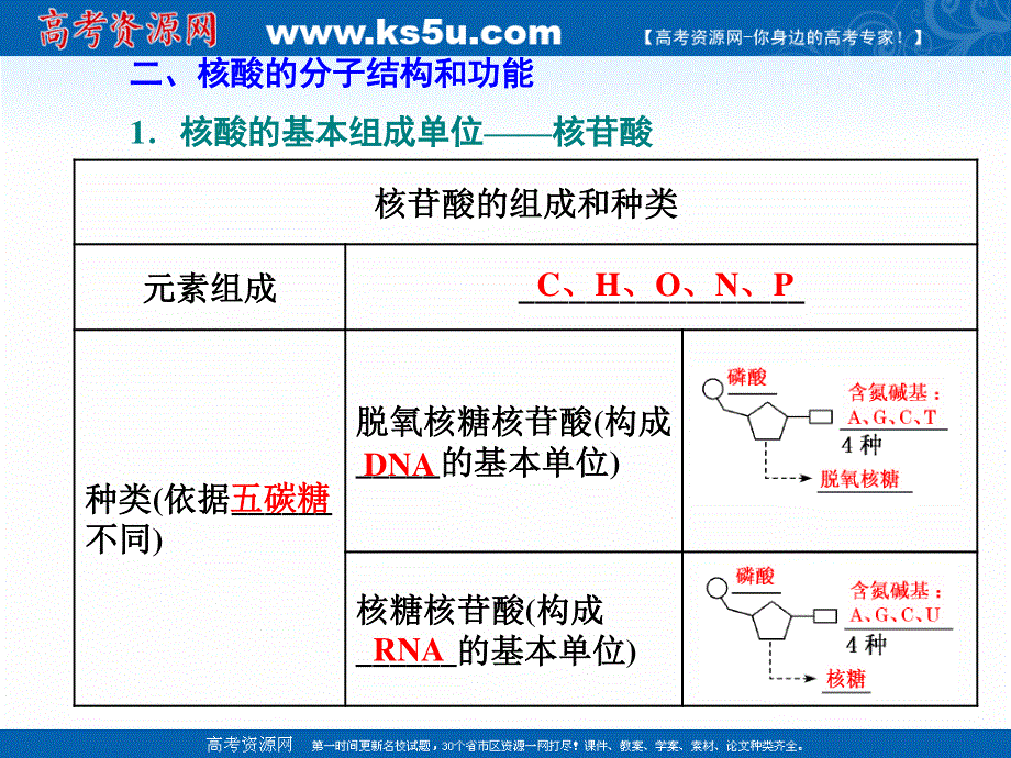 2020-2021学年人教版生物学必修1同步课件：第二章 第5节 核酸是遗传信息的携带者 .ppt_第3页