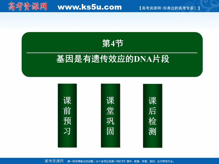 2020-2021学年人教版生物必修2课件：3-4 基因是有遗传效应的DNA片段 .ppt_第2页