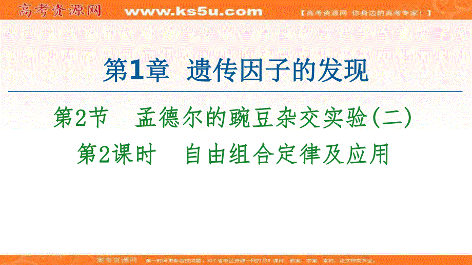 2020-2021学年人教版生物必修2课件：第1章 第2节 第2课时　自由组合定律及应用 .ppt_第1页