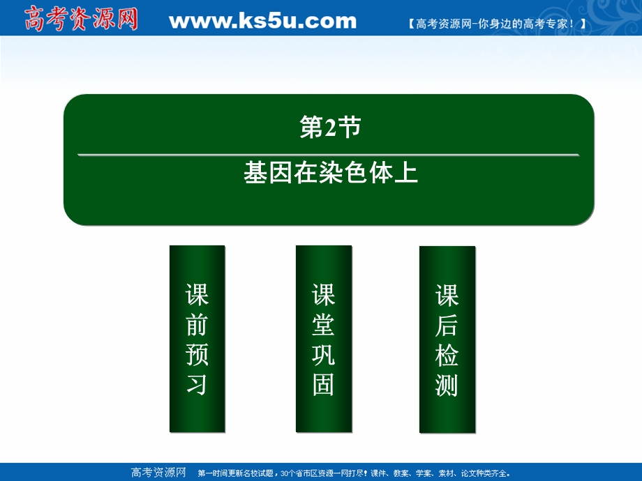 2020-2021学年人教版生物必修2课件：2-2 基因在染色体上 .ppt_第2页