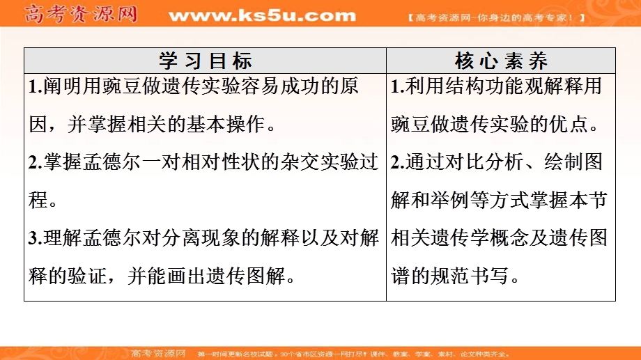 2020-2021学年人教版生物必修2课件：第1章 第1节 第1课时　一对相对性状的杂交实验 .ppt_第2页