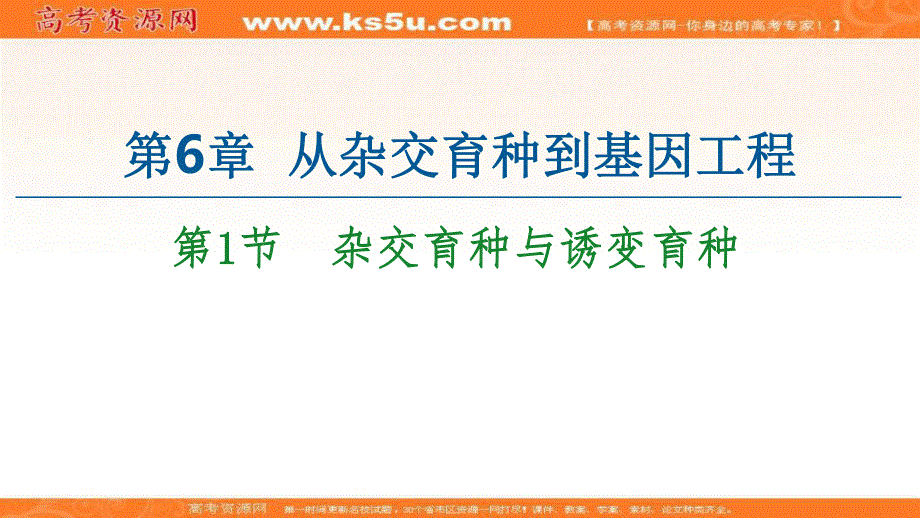 2020-2021学年人教版生物必修2课件：第6章 第1节　杂交育种与诱变育种 .ppt_第1页