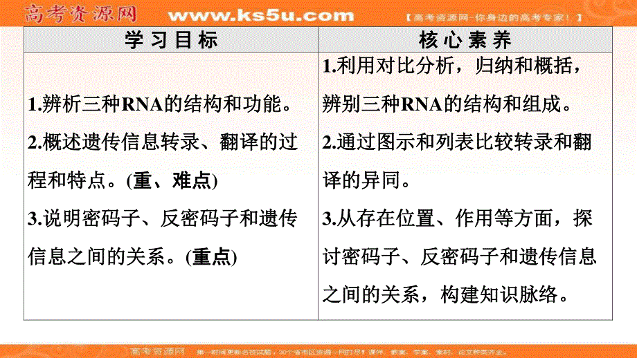 2020-2021学年人教版生物必修2课件：第4章 第1节　基因指导蛋白质的合成 .ppt_第2页