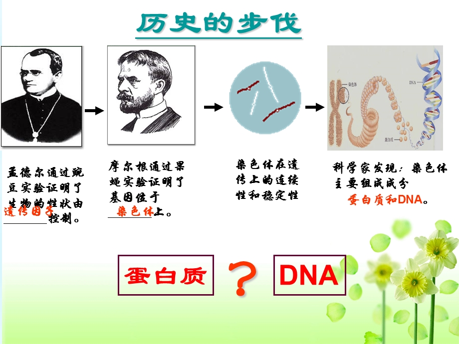 2020-2021学年人教版生物必修二（新教材）课件：3-1DNA是主要的遗传物质.ppt_第2页