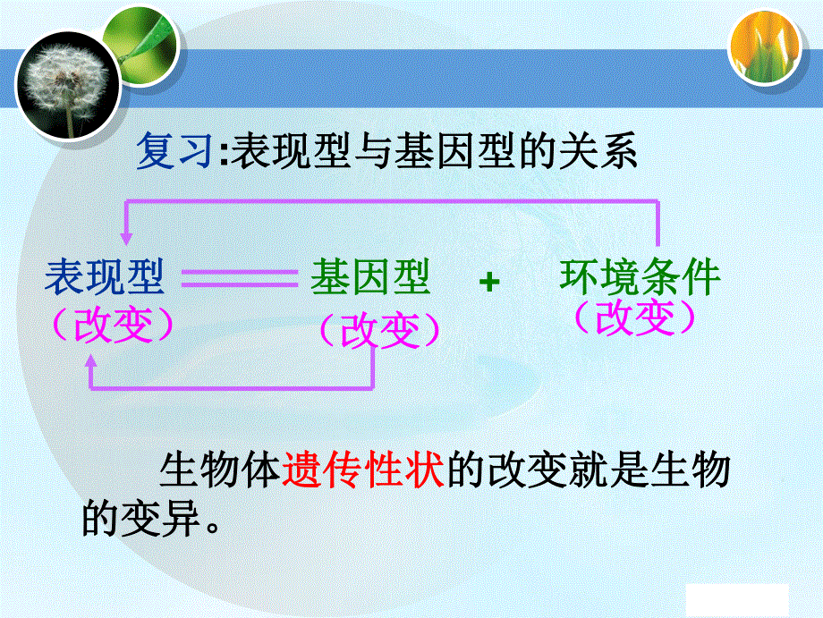 2020-2021学年人教版生物必修二（新教材）课件：5-1基因突变和基因重组.ppt_第2页