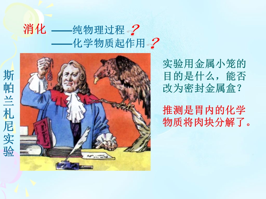 2020-2021学年人教版生物必修一（新教材）课件：5-1降低化学反应活化能的酶.ppt_第2页