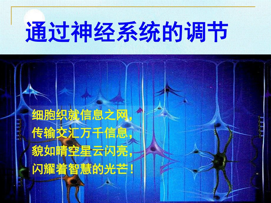 2020-2021学年人教版生物必修三课件：2-1 通过神经系统的调节.ppt_第2页