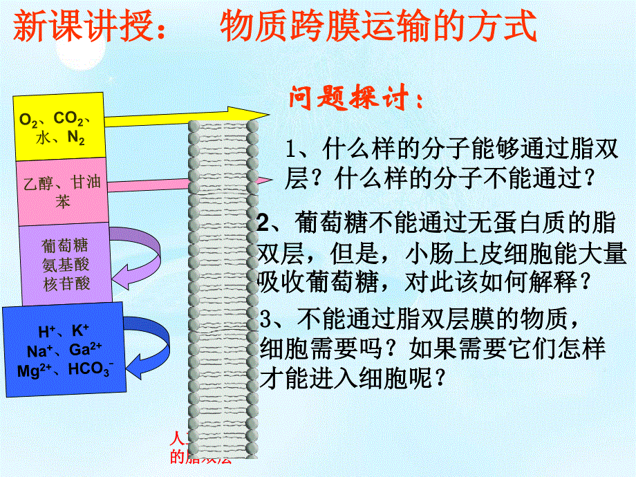 2020-2021学年人教版生物必修一（新教材）课件：4-3物质跨膜运输的方式.ppt_第3页