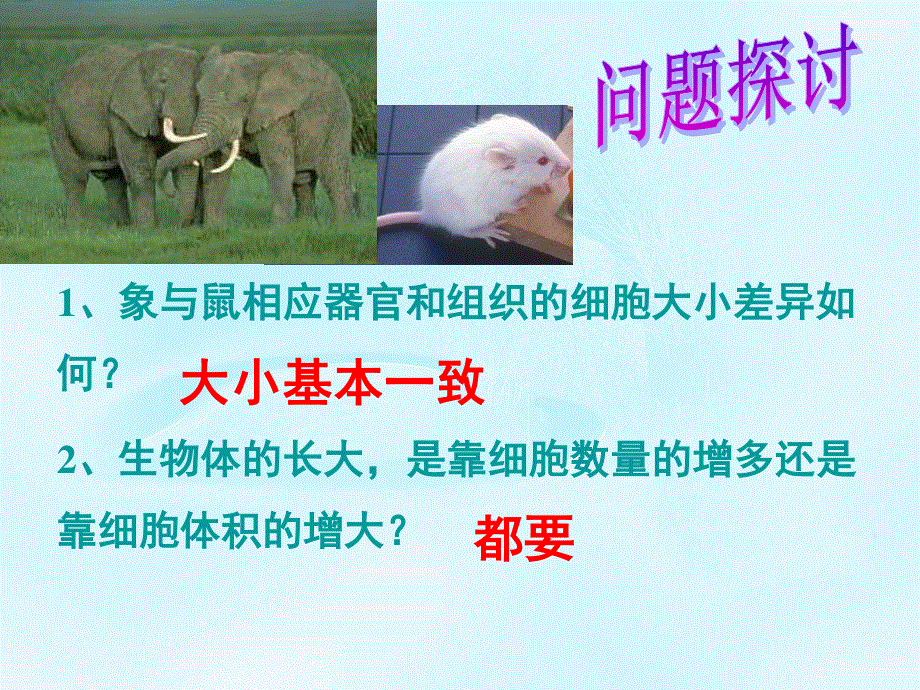 2020-2021学年人教版生物必修一（新教材）课件：6-1 细胞的增殖.ppt_第2页