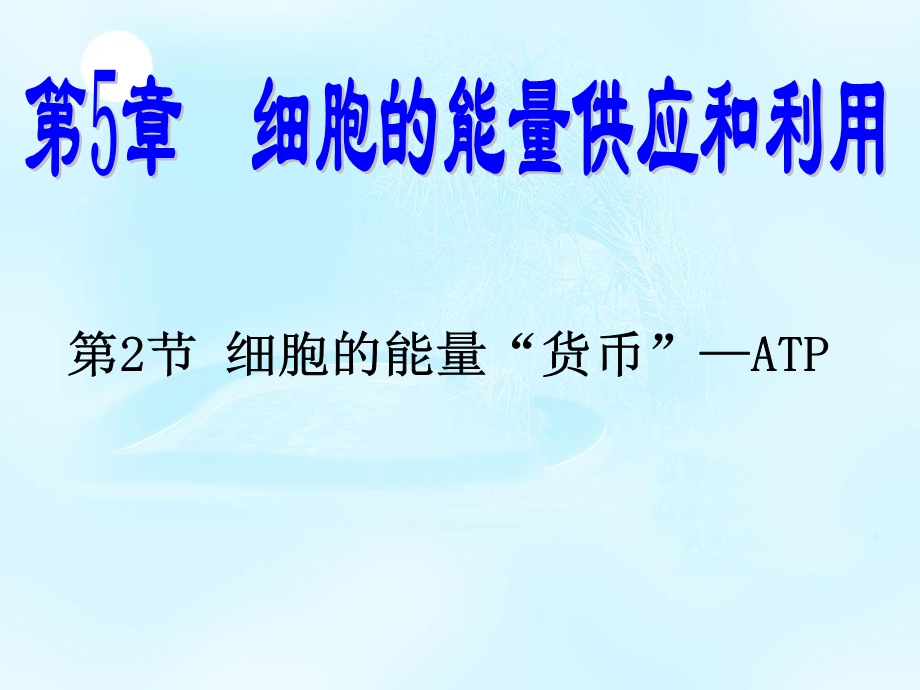 2020-2021学年人教版生物必修一（新教材）课件：5-2_细胞的能量“货币”ATP.ppt_第1页