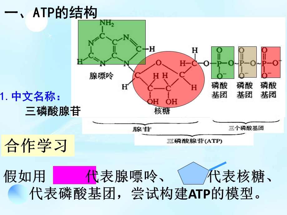 2020-2021学年人教版生物必修一（新教材）课件：5-2_细胞的能量“货币”ATP.ppt_第3页