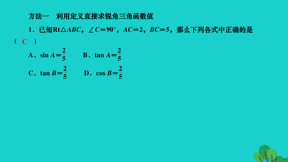 2022九年级数学下册 第二十八章 锐角三角函数专题训练(十一)求锐角三角函数值的常用方法作业课件（新版）新人教版.ppt_第2页