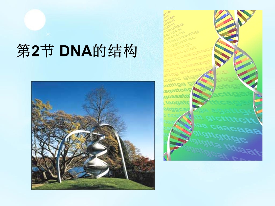 2020-2021学年人教版生物必修二（新教材）课件：3-2DNA的结构.ppt_第1页