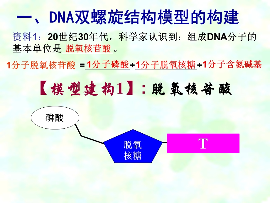 2020-2021学年人教版生物必修二（新教材）课件：3-2DNA的结构.ppt_第2页