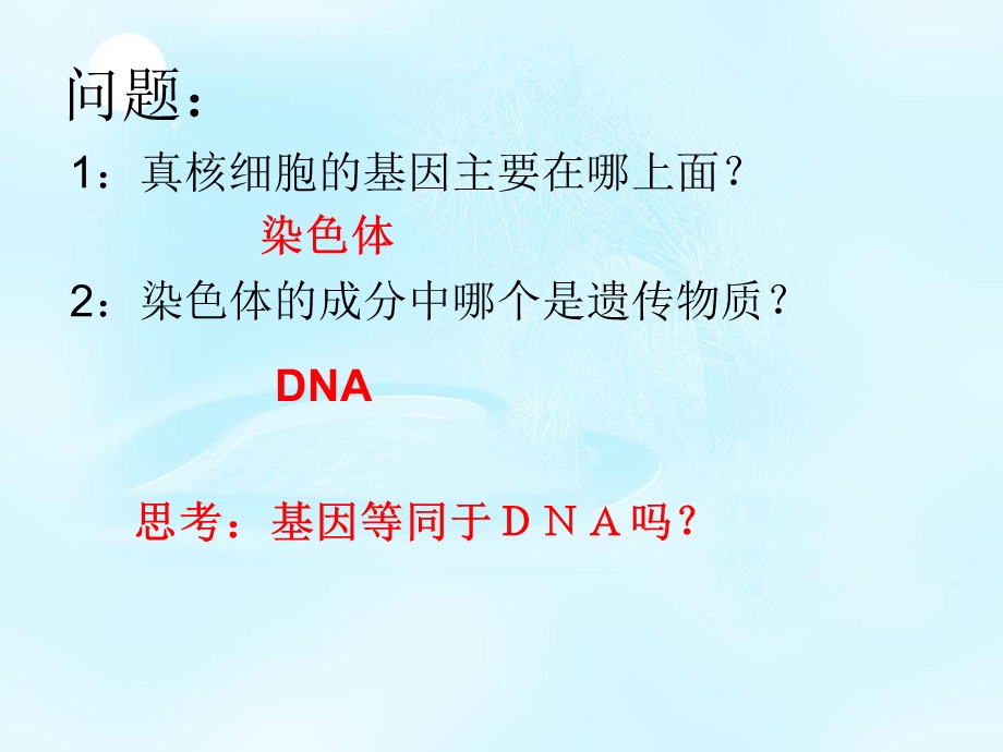 2020-2021学年人教版生物必修二（新教材）课件：3-4基因是有遗传效应的DNA片段.ppt_第3页