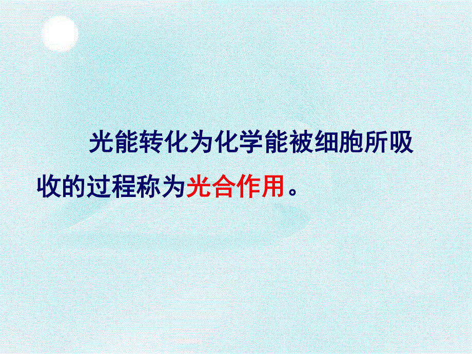 2020-2021学年人教版生物必修一（新教材）课件：5-4光合作用与能量转化.ppt_第3页