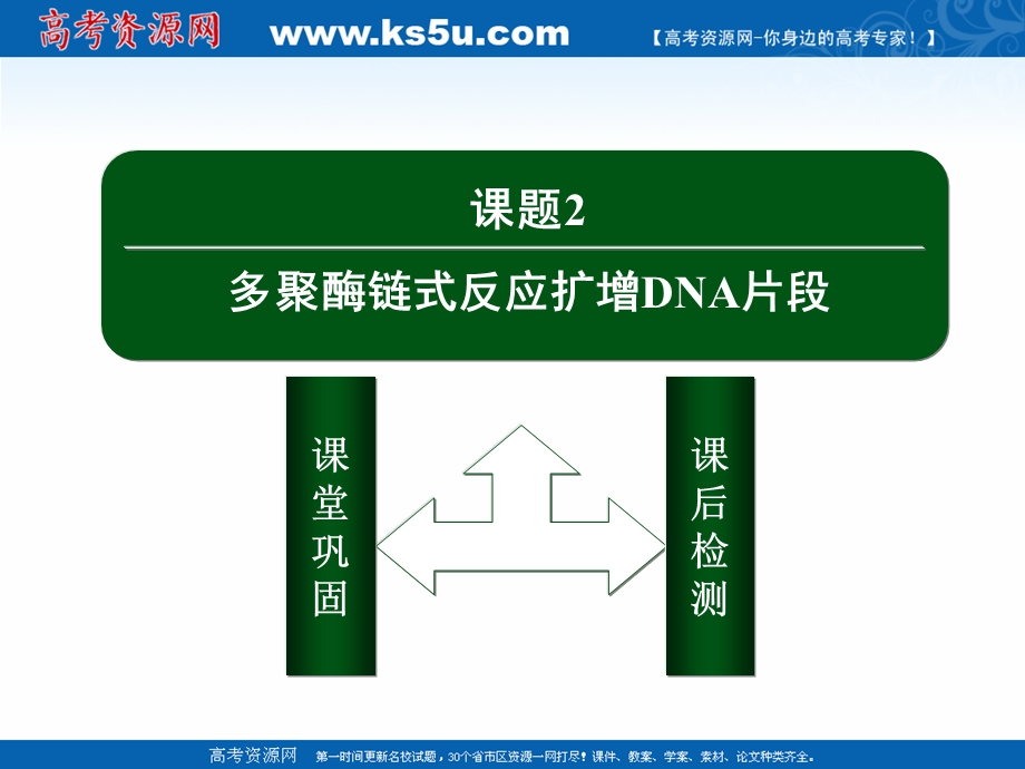 2020-2021学年人教版生物选修1课件：5-2 多聚酶链式反应扩增DNA片段 .ppt_第2页