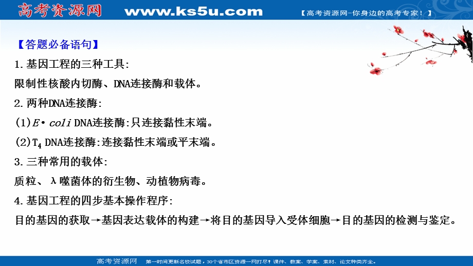 2020-2021学年人教版生物高中选修3课件：模块提升课 专题1　基因工程 .ppt_第2页