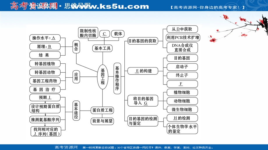 2020-2021学年人教版生物高中选修3课件：单元提升课 专题1　基因工程 .ppt_第2页