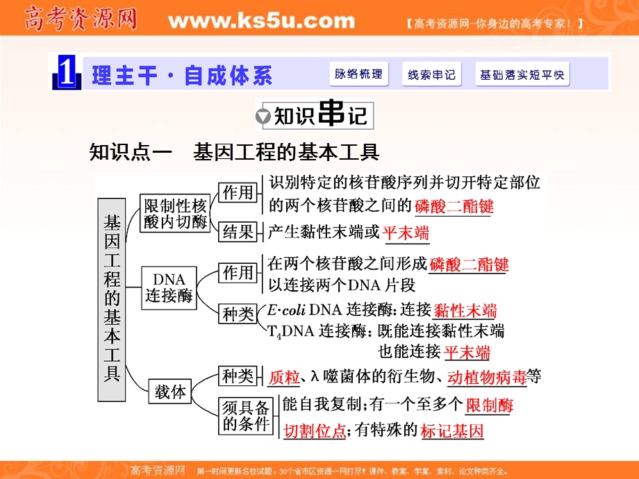 2017届高三生物一轮复习课件：选修3 第一讲 基因工程 .ppt_第2页