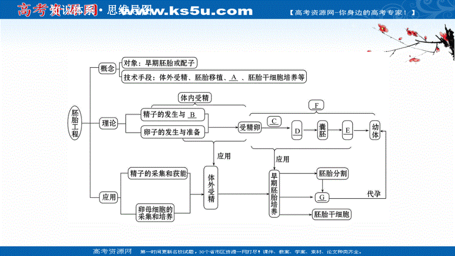 2020-2021学年人教版生物高中选修3课件：单元提升课 专题3　胚胎工程 .ppt_第2页