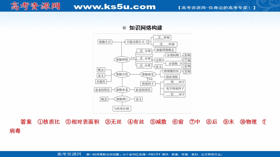 2017届高三生物总复习人教版必修一课件：第6章　细胞的生命历程 章末复习讲座.ppt_第3页