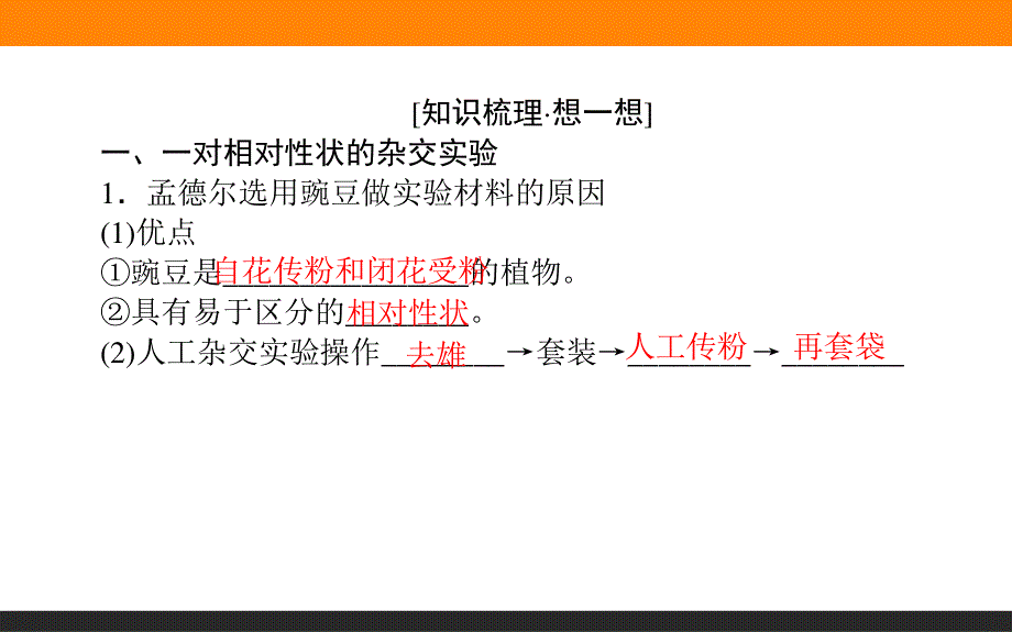 2017届高三生物人教版一轮复习课件：2-1-1 孟德尔的豌豆杂交实验（一）.ppt_第3页