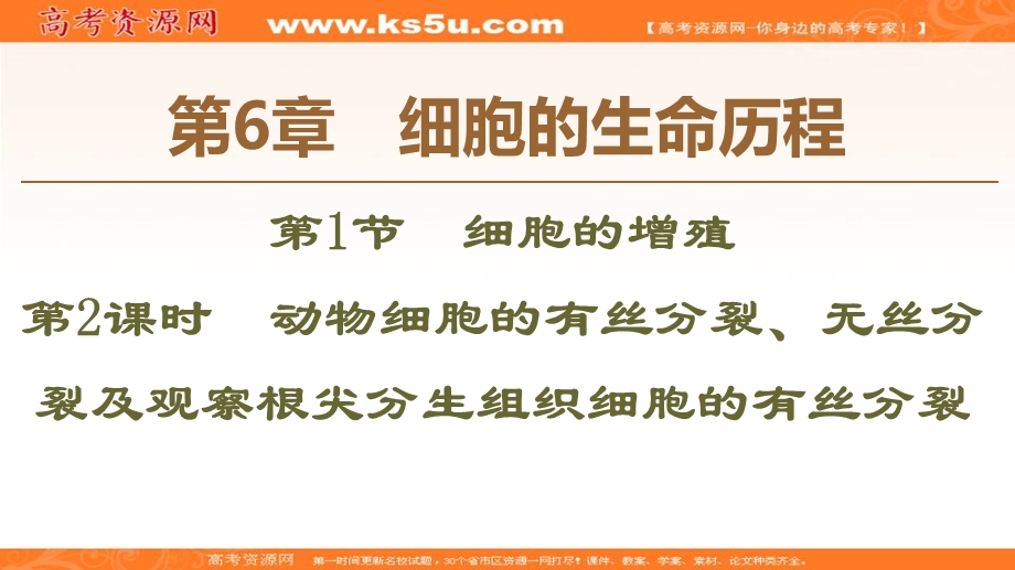 2019-2020学年人教版生物必修一课件：第6章 第1节　第2课时　动物细胞的有丝分裂、无丝分裂及观察根尖分生组织细胞的有丝分裂 .ppt_第1页