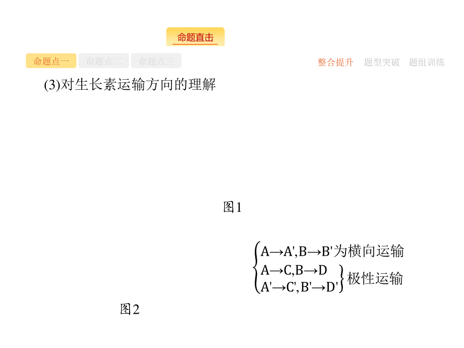 2018届高三生物（新课标）二轮复习专题整合高频突破课件：专题五　生命活动的调节5-12 .ppt_第3页