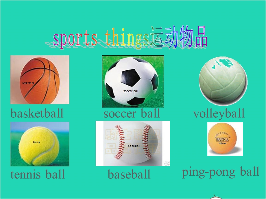 2022七年级英语上册 Unit 5 Do you have a soccer ball Section A教学课件（新版）人教新目标版.ppt_第3页