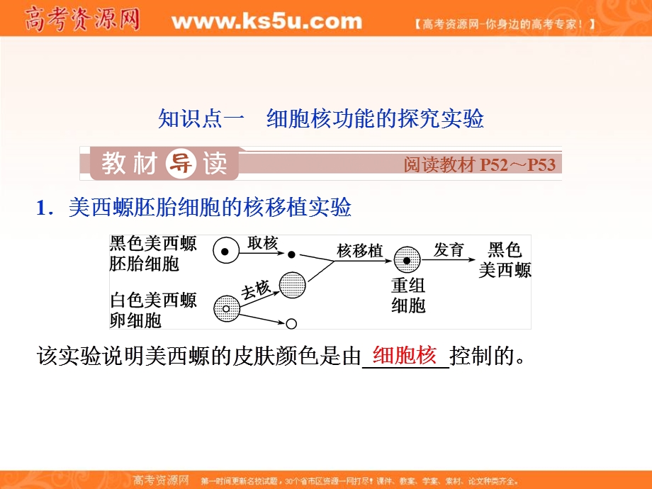 2019-2020学年人教版生物必修一配套课件：第3章 第3节　细胞核——系统的控制中心 .ppt_第3页