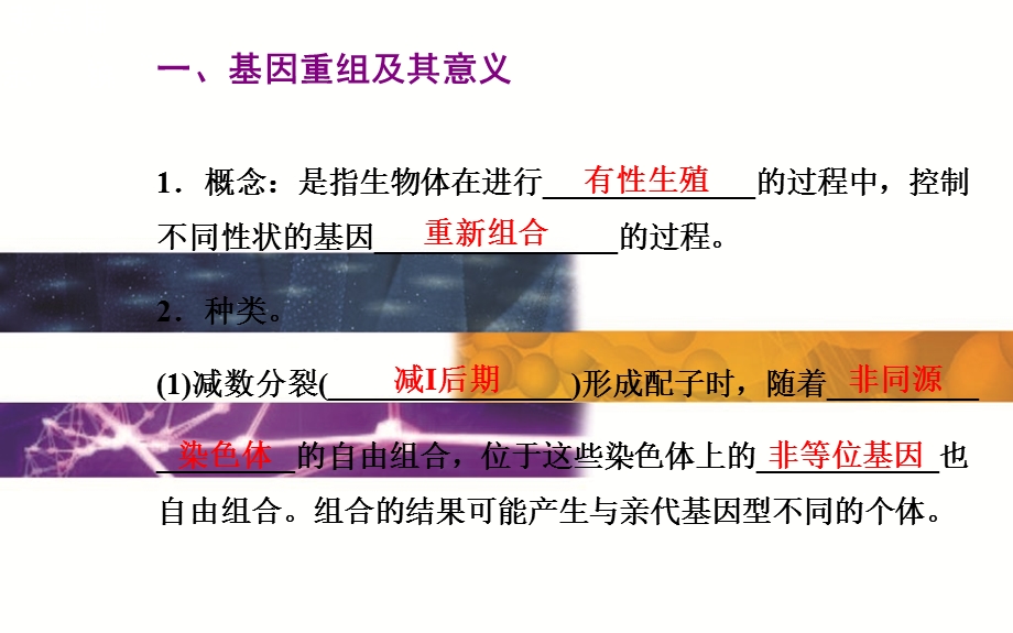 2015-2016学年广东省普通高中学业水平测试生物课件：9单元第1讲　基因重组及其意义、基因突变的特征和原因 .ppt_第3页