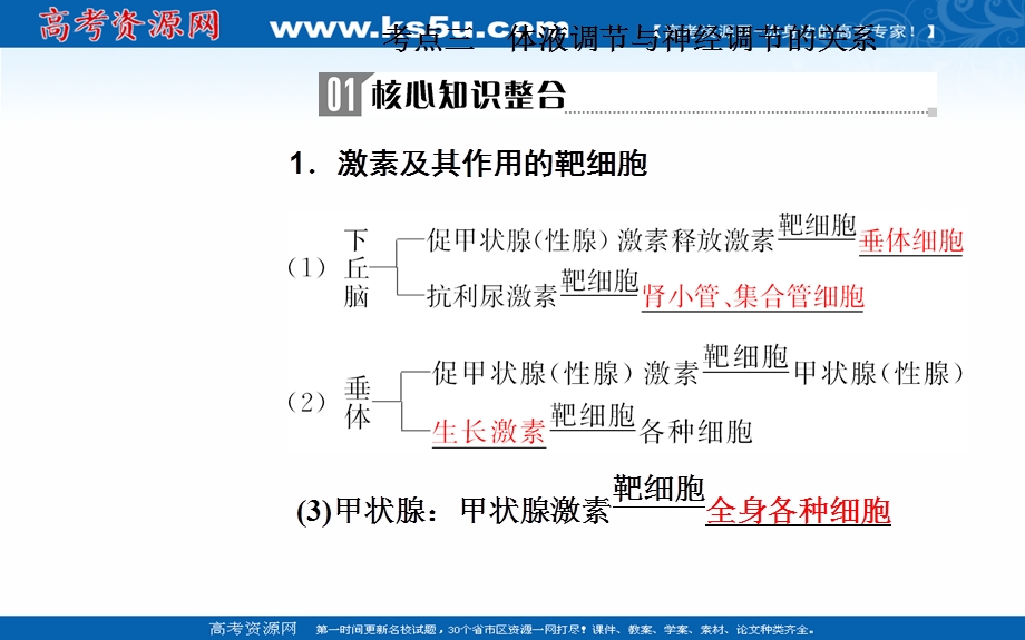 2020届生物高考二轮专题复习课件：专题八考点三 体液调节与神经调节的关系 .ppt_第2页