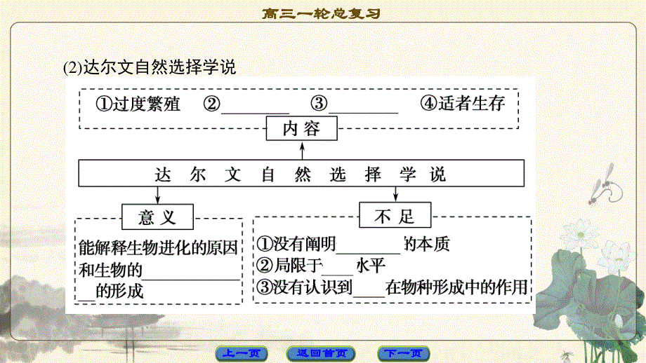 2018届高三生物（人教版）一轮复习课件：必修2 第7单元 第4讲　现代生物进化理论 .ppt_第3页