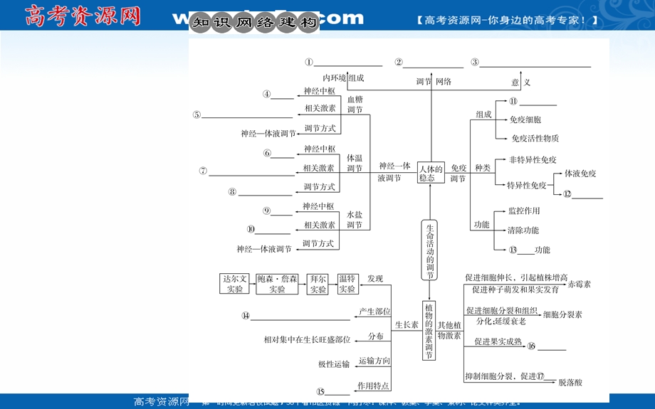 2020届生物高考二轮专题复习课件：专题八考点一 人体内环境的稳态与调节 .ppt_第2页