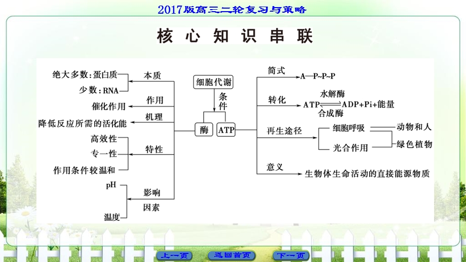 2017届高三生物（通用版）二轮复习课件 第1部分 板块1 专题3　酶和ATP .ppt_第3页