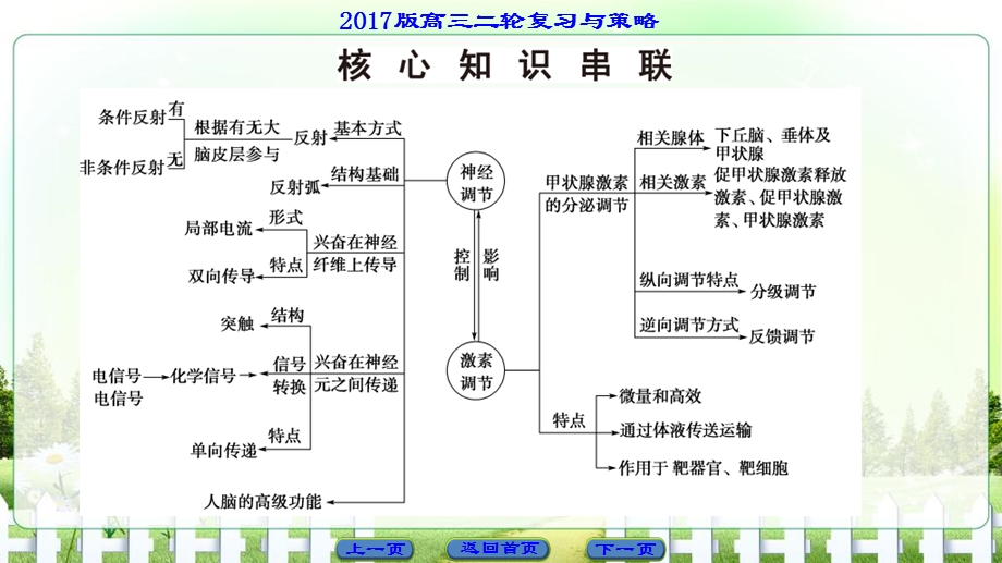 2017届高三生物（通用版）二轮复习课件 第1部分 板块3 专题9　动物和人体生命活动的调节 .ppt_第3页