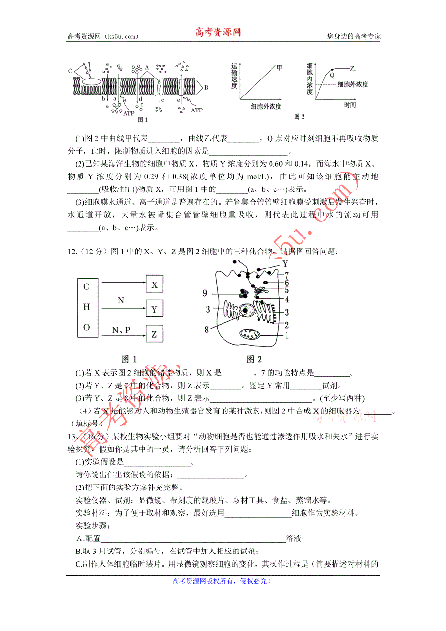 11-12学年 高一生物 拓展精练33.doc_第3页