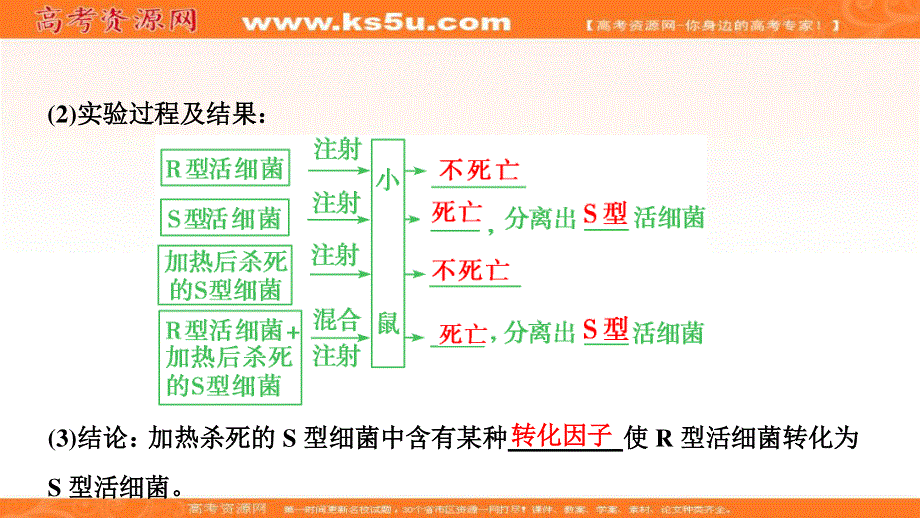 2017届高三生物（人教版）高考一轮复习课件：第六单元 第一讲　DNA是主要的遗传物质 .ppt_第3页