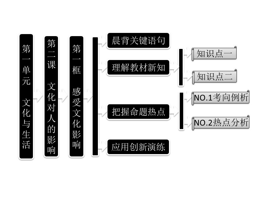 2013届高三政治一轮复习课件：1.2.1感受文化影响（新人教必修3）.ppt_第1页