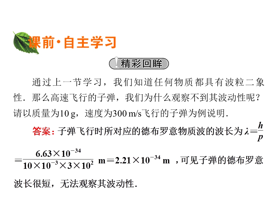 2019-2020学年人教版高中物理选修3-5同步配套课件：第17章 波粒二象性 4、5 .ppt_第2页