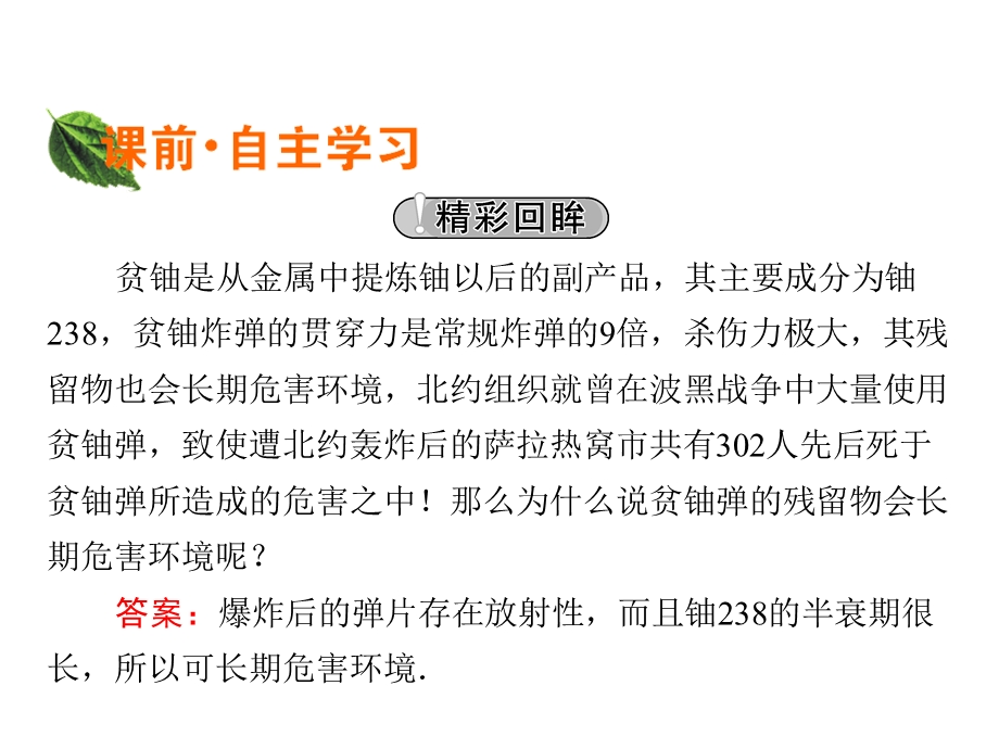 2019-2020学年人教版高中物理选修3-5同步配套课件：第19章 原子核 6 .ppt_第2页