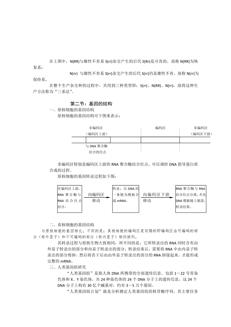 [原创]2011年高考生物第一轮总复习讲座之六.doc_第3页