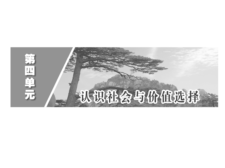 2013届高三政治一轮复习课件：4.11.2社会历史的主体（新人教必修4）.ppt_第2页