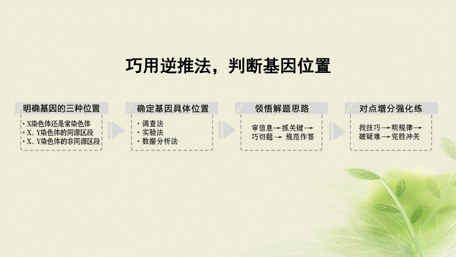 2018届高考生物一轮复习课件：补上一课4基因位置的确认及遗传实验设计 .ppt_第2页