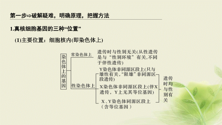 2018届高考生物一轮复习课件：补上一课4基因位置的确认及遗传实验设计 .ppt_第3页